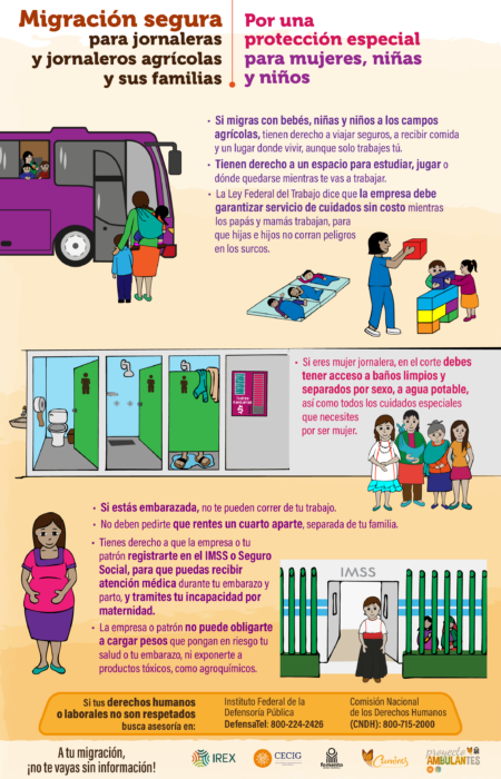 infografia_consejos organizativos_mujer y niñez_01